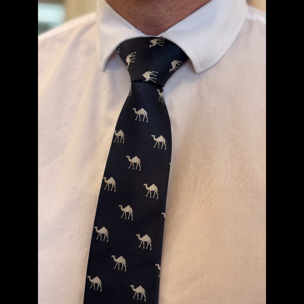 Gordon's Camel Tie