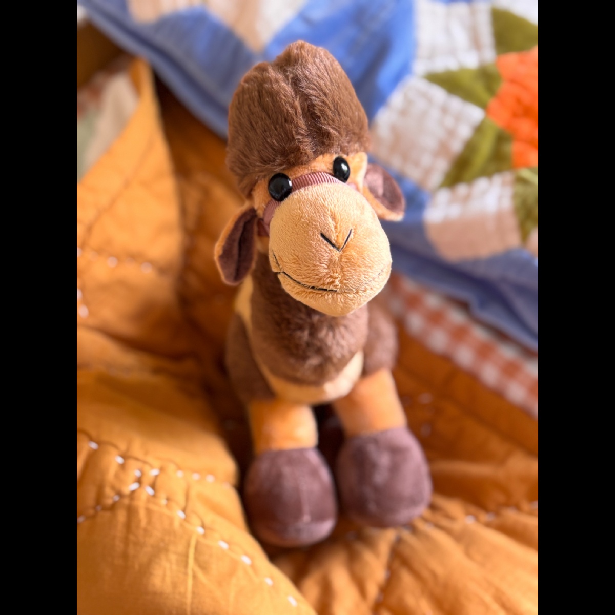 Gordon's Soft Toy Camel