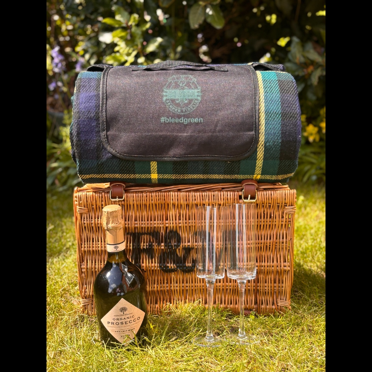 Gordon's Picnic Blanket